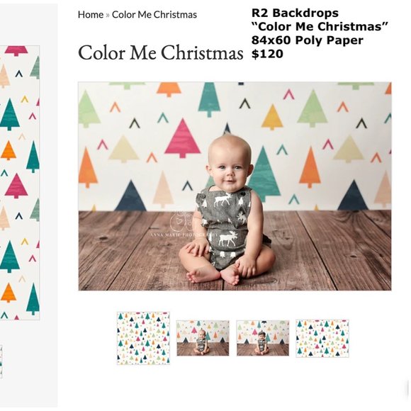 R2 Backdrops Professional Background for Photography "Color Me Christmas" 84x60 - Picture 1 of 3